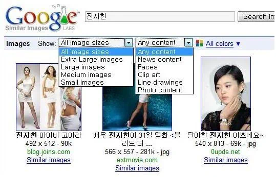 구글의 신규서비스 이미지 유사검색 & 뉴스 연대기 Similar Images & News Timeline 4 Similar4 이미지 크기
