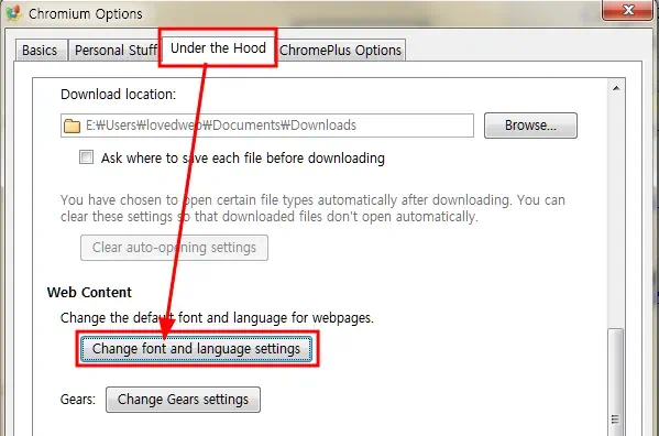 크롬플러스 옵션