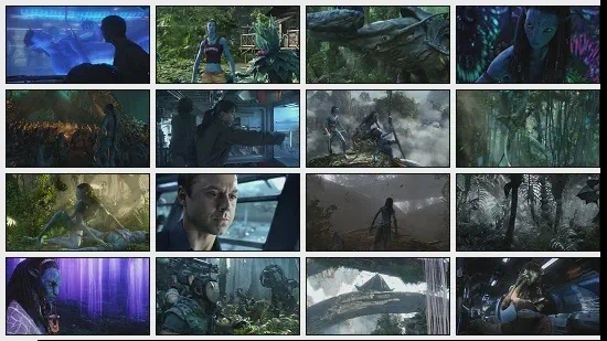 영화,드라마 고화질 동영상은 초코플레이어와 KMP로, 동영상 캡쳐와 스냅샷 자동으로 찍는 방법 11 Avatar 720p Bluray x264 CBGB2 KMP 동영상 스냅샷