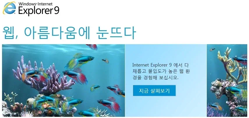 인터넷 익스플로러9 RC 최종 평가판 공개 1 cfile10.uf@113A20494D5ABB1C0564EC 인터넷 익스플로러9