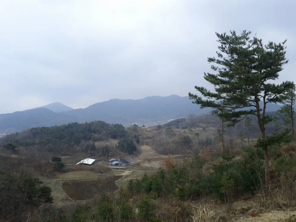 모토로라 줌