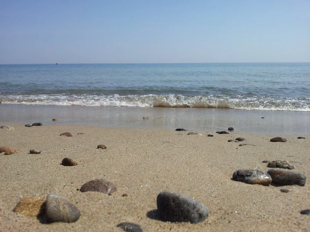 해수욕장 모래 위의 자갈들