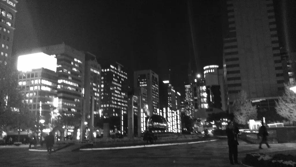 서울 도심 야경 흑백 사진