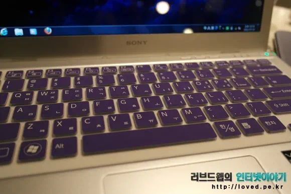 바이오 노트북 키스킨과 호환