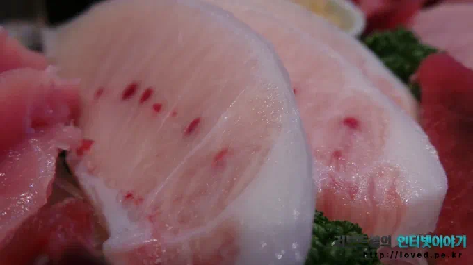 갤럭시 카메라로 찍은 사진들 26 Image00195 갤럭시 카메라 접사 스마트 모드 실내 촬영 사진, 참치회