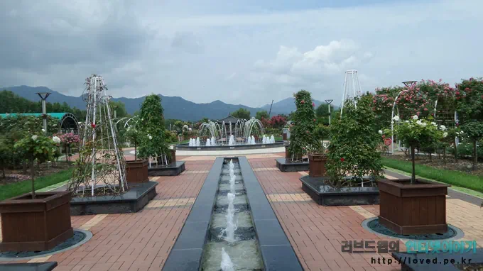 당일치기 여행 코스 곡성 섬진강 기차마을 장미공원 15 cfile1.uf@2431A13C53CCA8301C713B 섬진강 기차마을 장미 공원