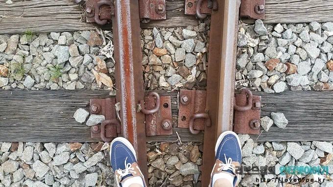 당일치기 여행 코스 곡성 섬진강 기차마을 장미공원 35 cfile26.uf@24567F3853CCAE8F1E6D2C 녹슨 철길