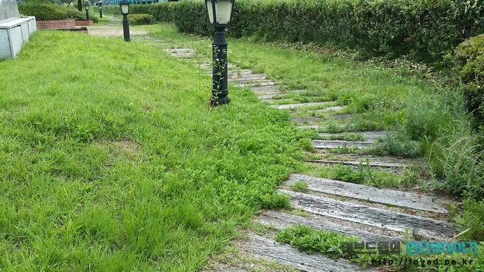 당일치기 여행 코스 곡성 섬진강 기차마을 장미공원 22 gokseong train village 32 섬진강 기차마을