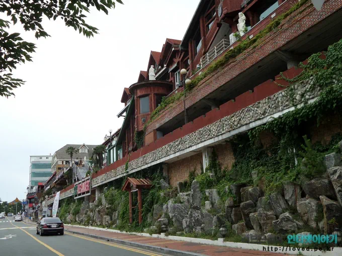 busan 02 11 부산 자갈치 시장과 해운대 달맞이 고개 사진으로 둘러보기