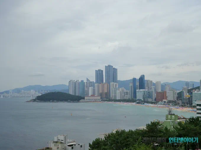 busan 02 52 부산 자갈치 시장과 해운대 달맞이 고개 사진으로 둘러보기